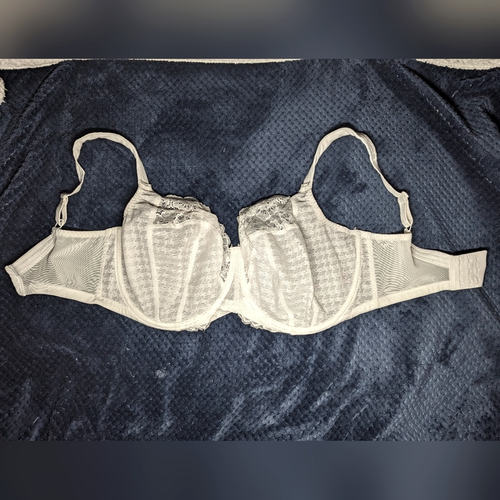 34 L US sizing (34HH UK sizing) Panache Envy Stretch Lace Full Cup Bra